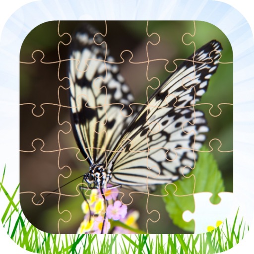 Butterfly Jigsaw Puzzle Kid Game