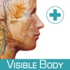 Anatomy & Function: A 3D Visual Reference of the Human Body