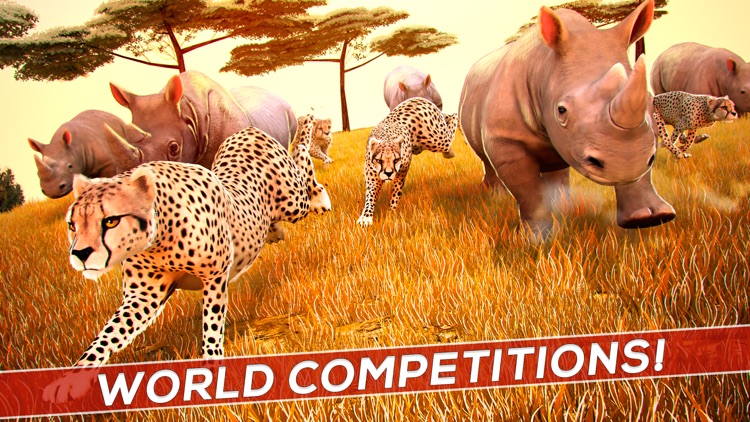 Wild Animal Simulator . Jungle Animals Racing Game 3D