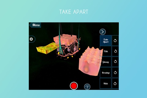 Skin Subcutaneous Layers 3D screenshot 2