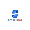 Synapse Academy