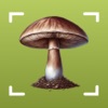 Picture Mushroom-Identifier,AI