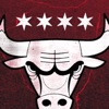 Chicago Bulls