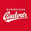 Budweiser Budvar Österreich