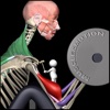 Strength Training by M&M