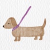 Adorable Dachshunds & friends