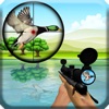 Bird Hunting : Shooting Games