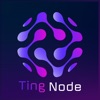 Ting Node