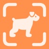 Dog Breed Identifier - ScanDog