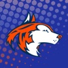 Naperville North HS