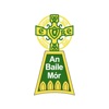 Ballymore Eustace GAA