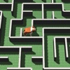 Maze Dog 3D