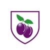 Plumcroft Primary School App