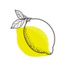 Lemon Camera