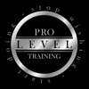 Pro Level Training