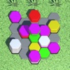 Hexa Color Sort 3D