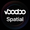 Voodoo Spatial Player