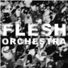 Flesh Orchestra