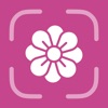 Flower Identifier - FlowerID