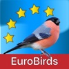 Birds of Europe