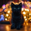 Black Cat Wallpapers