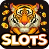 Kungfu Tiger: Slots Machine