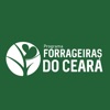 Forrageiras do Ceará