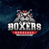 Boxers de Bordeaux