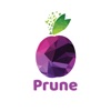 Prune: eSIM Travel & Internet