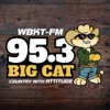 95.3 Big Cat