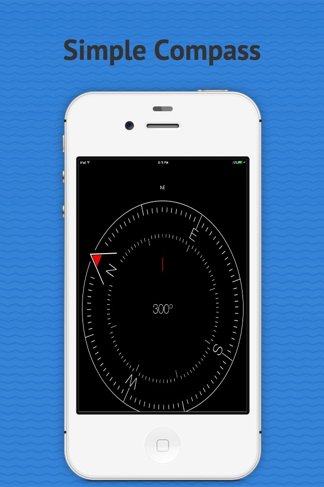 Compass-Live Direction screenshot 3