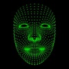 Face Mesh