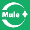 Mule