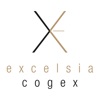 EXCELSIA AUDIT