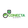 Conecta Guapi