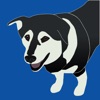 The Dog Breed App