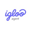 Igloo Agent