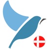 Bluebird: Learn Danish