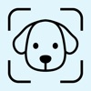 Dogitude: Dog Mood Tracker