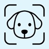 Dogitude: Dog Mood Tracker