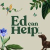 PTSD & Trauma Aid: Ed can Help