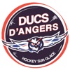 Ducs d'Angers