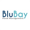 BluBay