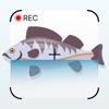 Fish AI Identifier / Catalog