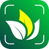 AI Plant Identifier: Flower ID