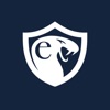 eCobra Token VPN