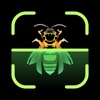 Insect Identifier