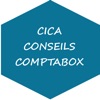 CICA CONSEILS