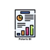 Polaris BI