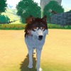 Wolf Animal Life Simulator 3D